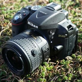 Coleção Temática - Fotografias de Campo